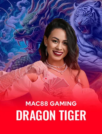 Silverbhai game